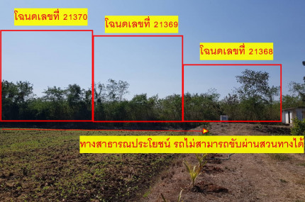 ที่ดินว่างเปล่า ตำบลนาเฉลียง  อำเภอหนองไผ่  จังหวัดเพชรบูรณ์